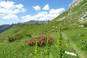 69 Scendendo dalla Bocchetta di Corna Piana al Passo-Lago Branchino